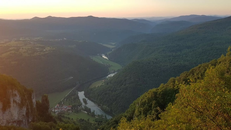 Kozice