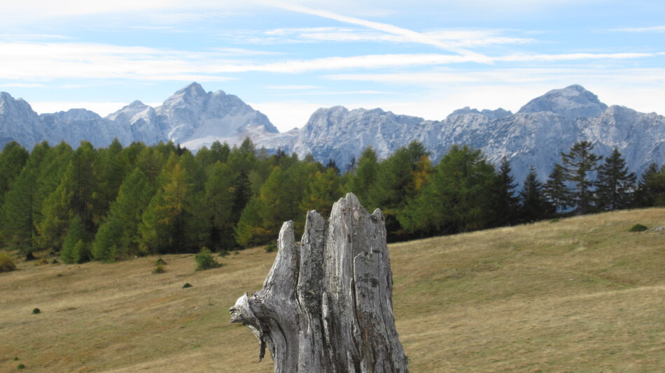 Zajčnik_001 Zajčnik_001