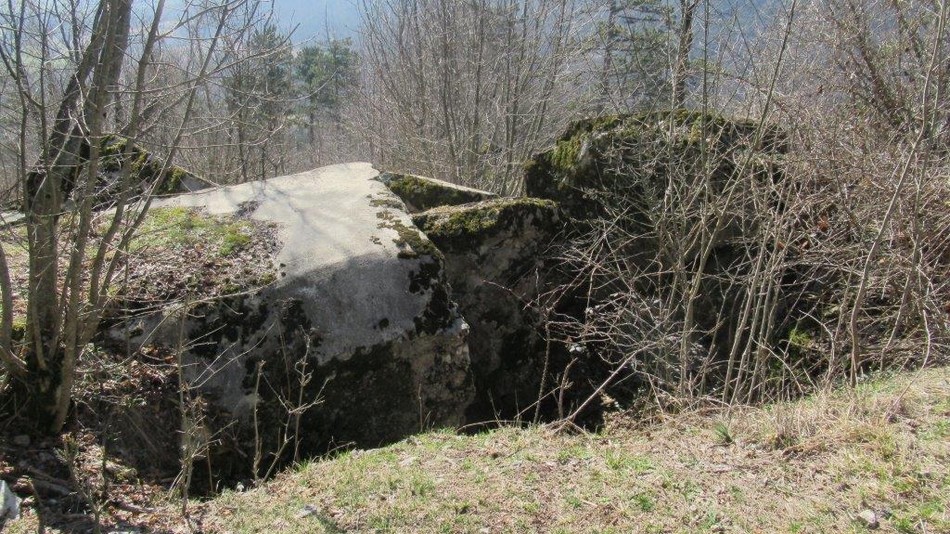 silentabor_27.jpg