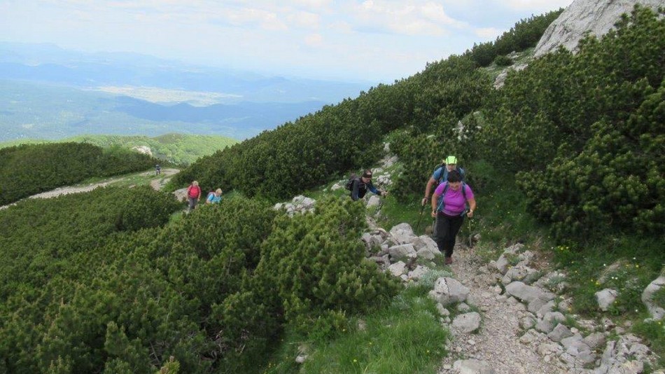 sneznik_26.jpg
