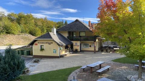 Zavetišče v Gozdu ponovno odpira svoja vrata