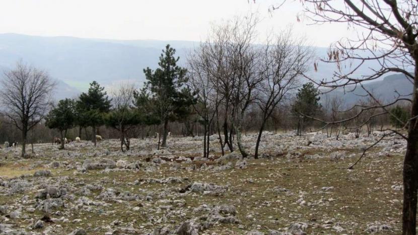 Hrvaška_Istra_4