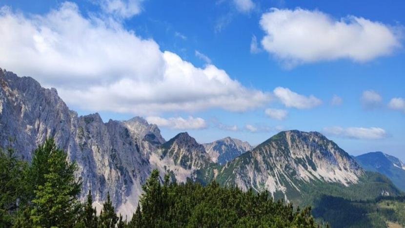 Rjavca 21.6.2025_02