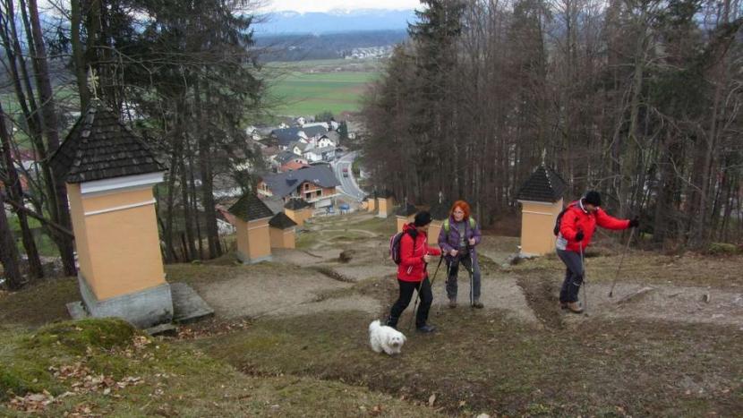 Smledniški grad