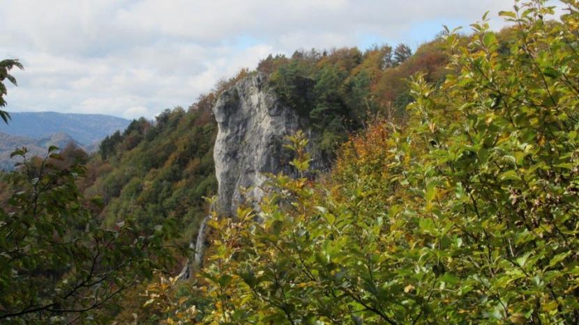 Kopitnik_7