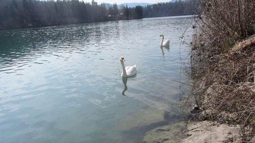 Smledniški grad