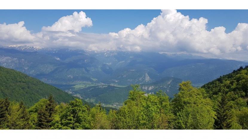 Lisec_Bohinj_9