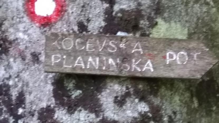Petruvo_3