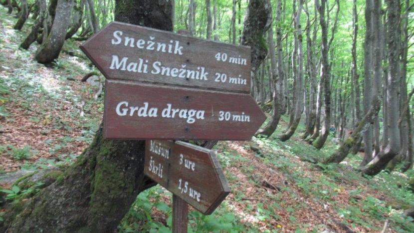 Sneznik_6