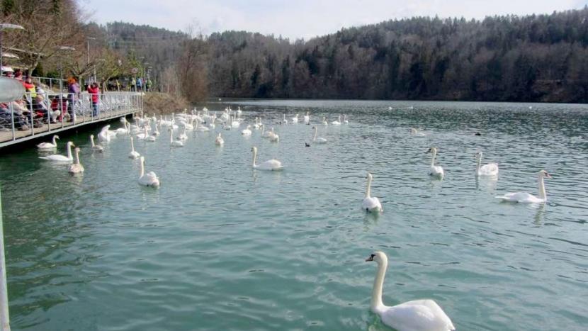 Smledniški grad