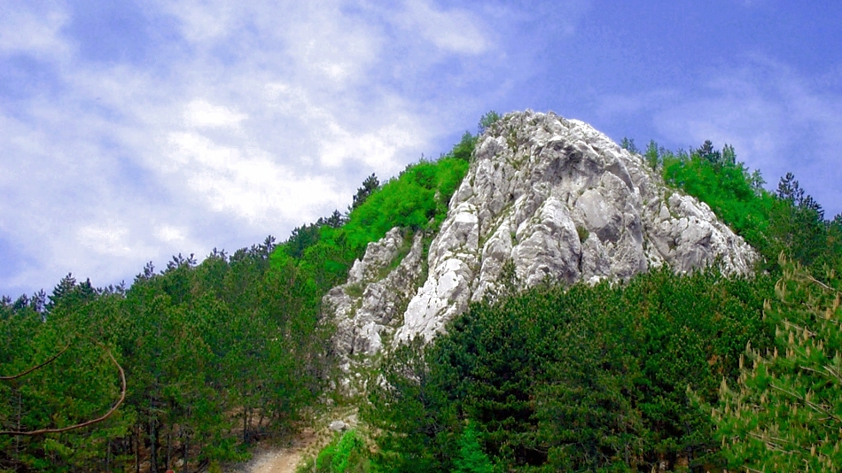 Brajkov_vrh